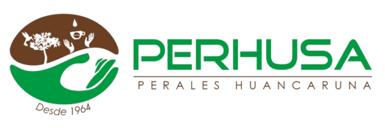 Perhusa Perales Huancaruna