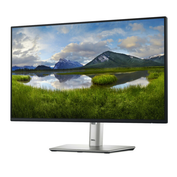 DELL Pro Plus P2425H pantalla para PC 60,5 cm (23.8") 1920 x 1080 Pixeles Full HD LCD Negro