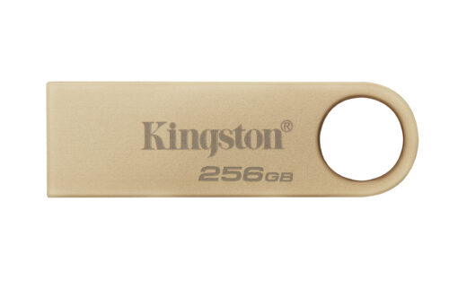 Kingston Technology DataTraveler 256GB 220MB/s Unidad USB 3.2 Gen 1 Metálica SE9 G3