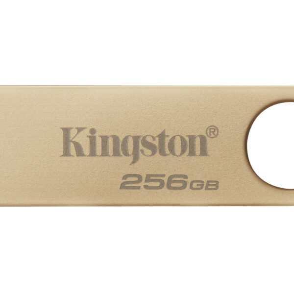 0a7f5e69b67ab4c453ff19a0a3f81edd.jpg Kingston Technology DataTraveler 256GB 220MB/s Unidad USB 3.2 Gen 1 Metálica SE9 G3