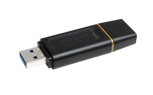 Kingston Technology DataTraveler Unidad Flash USB 3.2 Exodia