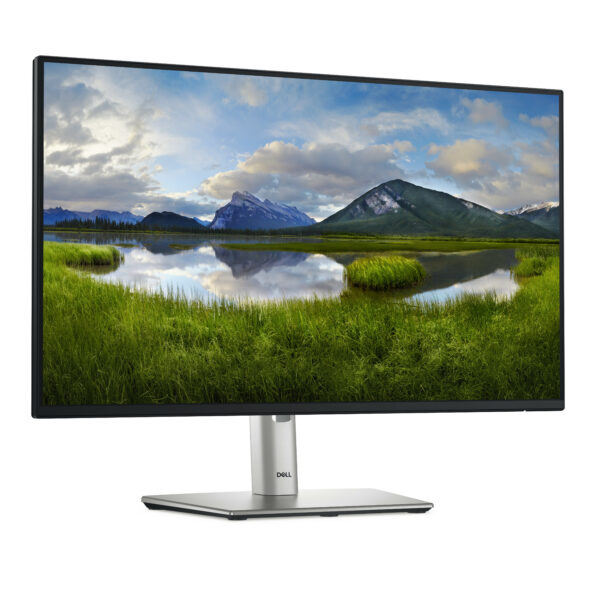 DELL Pro Plus P2425H pantalla para PC 60,5 cm (23.8") 1920 x 1080 Pixeles Full HD LCD Negro
