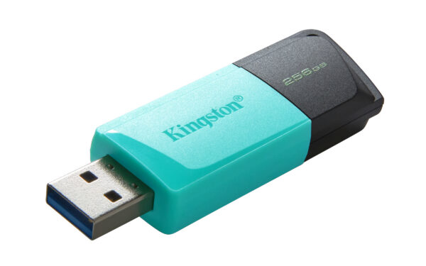 61a1e1f16c4ff6048dcb7a4235ae8f10.jpg Kingston Technology DataTraveler 256GB USB3.2 Gen1 Exodia M (Negro + Turquesa)