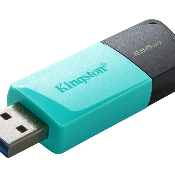 61a1e1f16c4ff6048dcb7a4235ae8f10.jpg Kingston Technology DataTraveler 256GB USB3.2 Gen1 Exodia M (Negro + Turquesa)