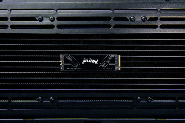 6ba3faf5c17eebc131b142cc01367cde134871ef.jpg Kingston Technology 1T FURY RENEGADE G5 M.2 2280 NVMe SSD